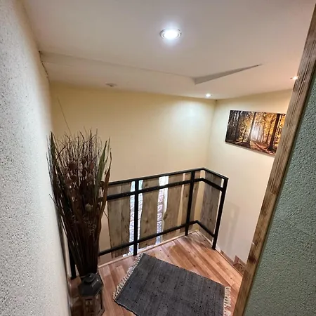 Penzión pre hostí Mrazik